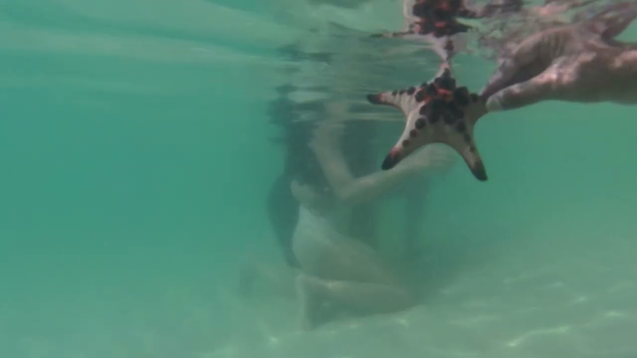 We Saved a Starfish! Emotional Beach Moment ❤️