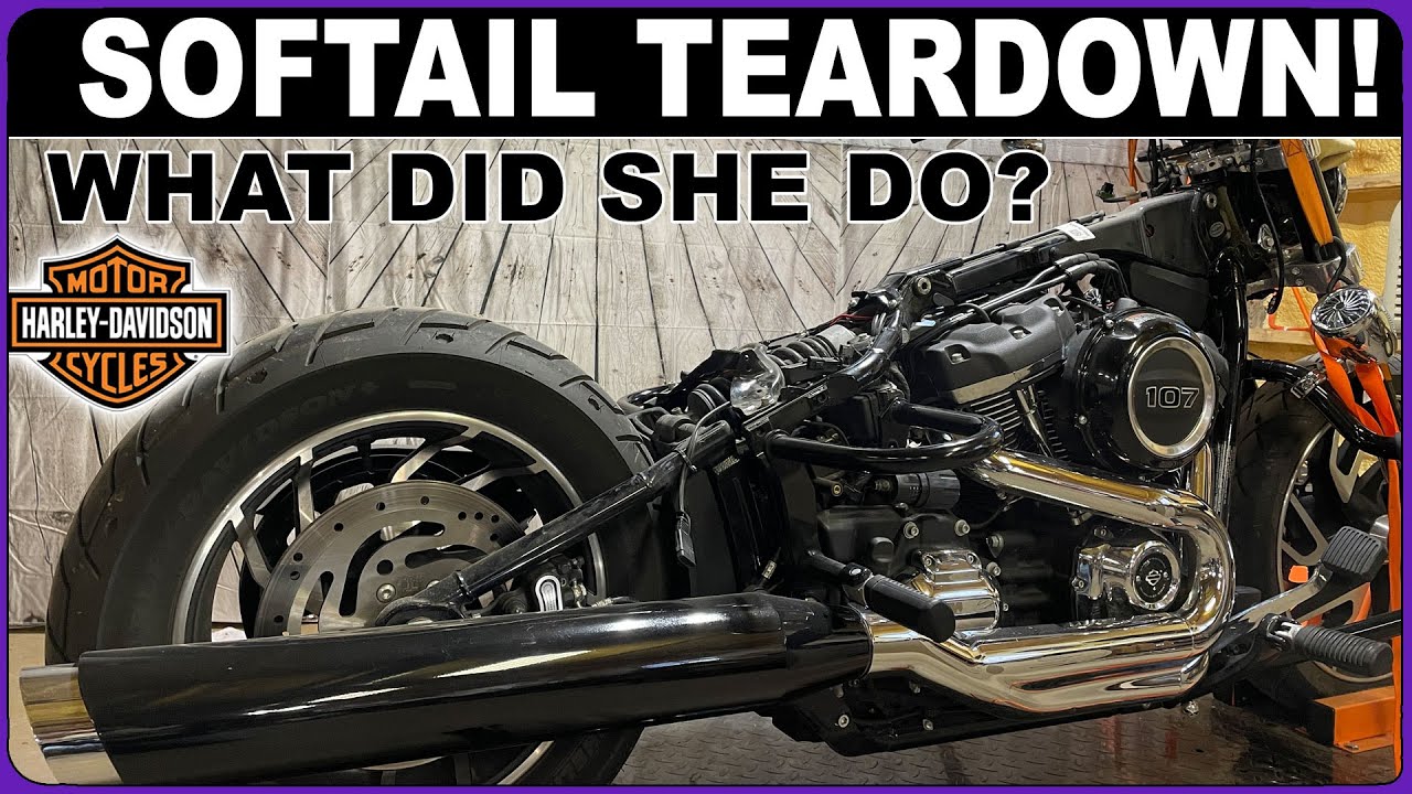 HARLEY DAVIDSON Softail SPORT GLIDE getting New Paint! HOW TO TEAR DOWN