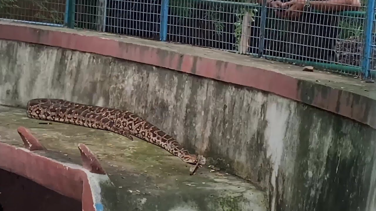 Beautiful Vlog On Zoo Park - Gulbarga, 9900127861
