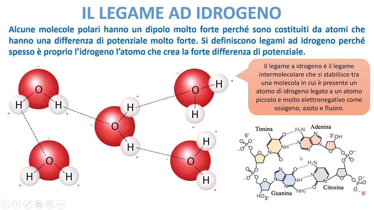 LA CHIMICA FACILE - Le Forze di Van Der Waals