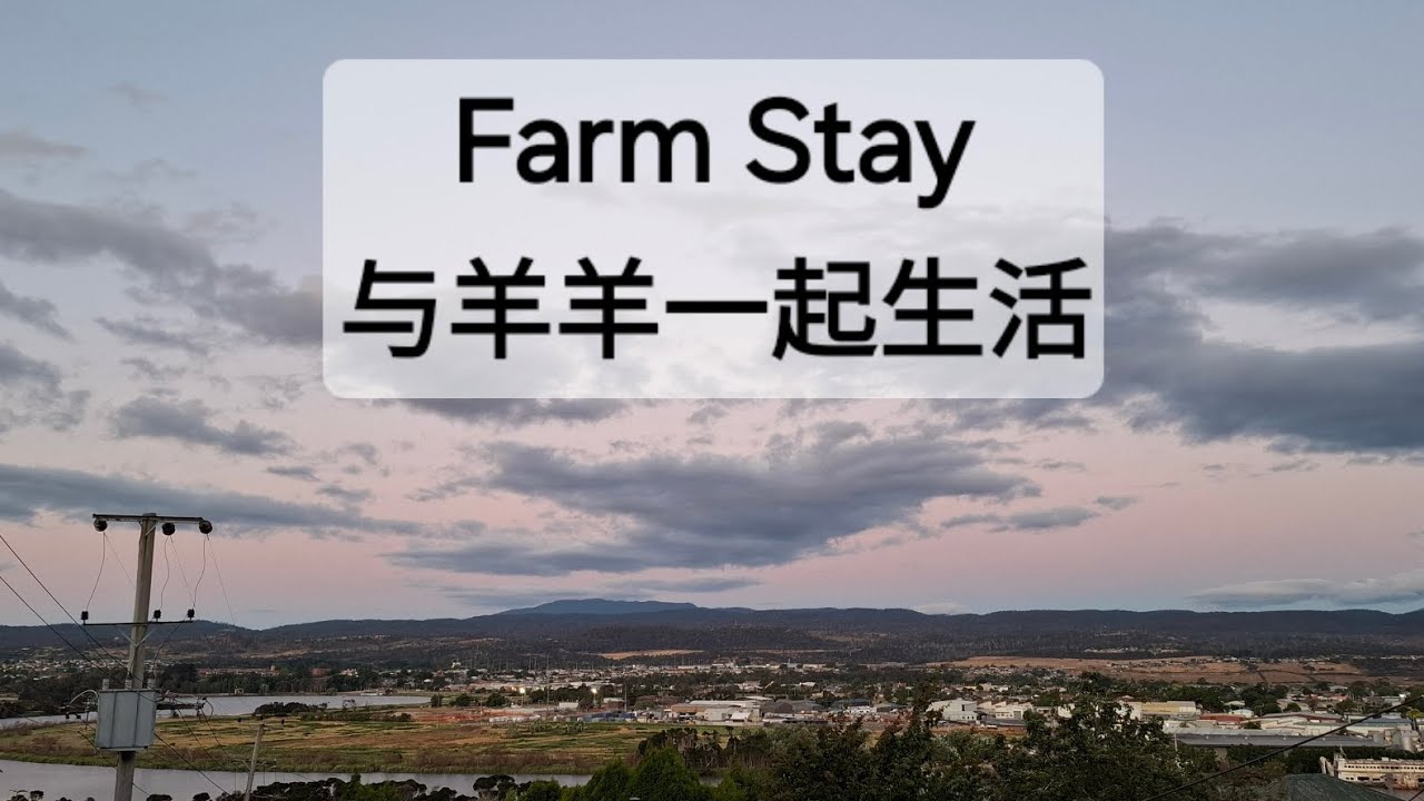 [粵語]Farm Stay与羊羊一起生活|動物與人的關係如此自然