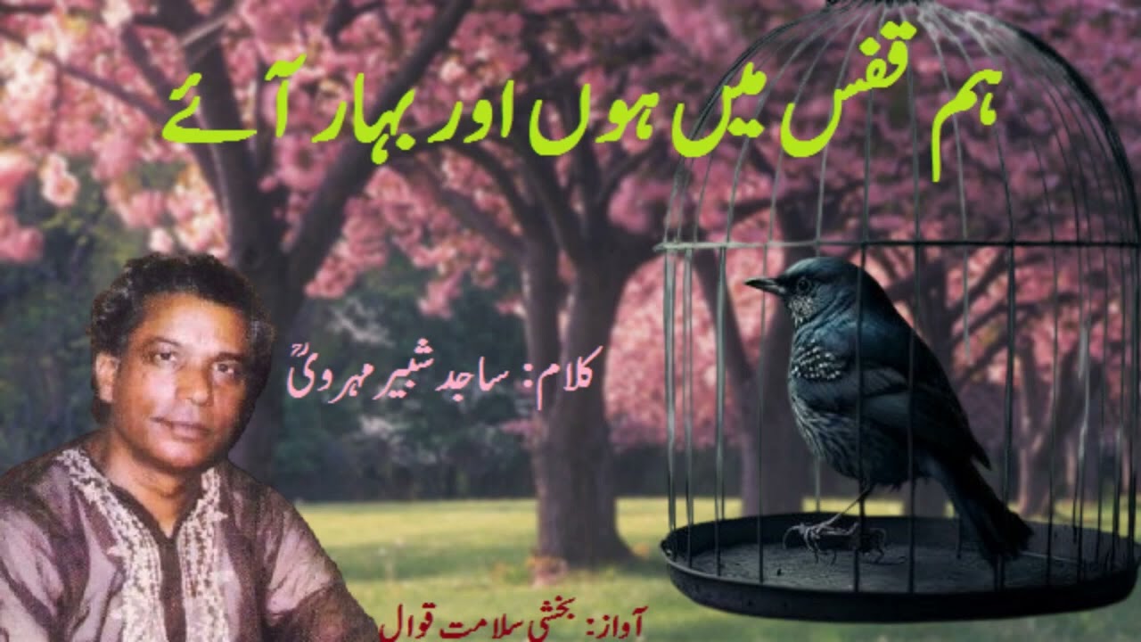 Hum Qafas Mein Hoon V2 | Qawwali | Ghazal | Bakhshi Salamat Qawwal