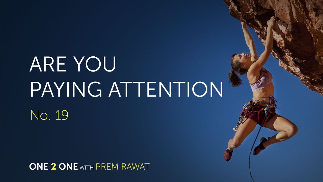 One 2 One, No. 19 - Are You Paying Attention