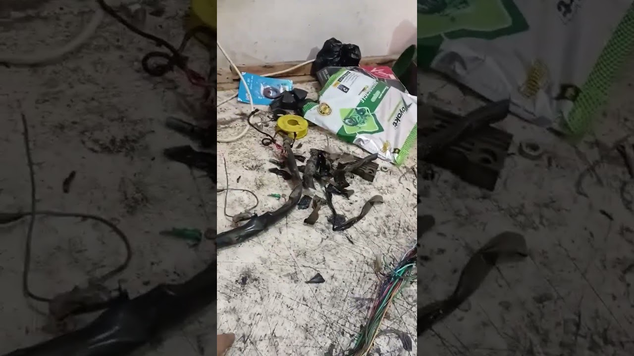 ٥ يناير ٢٠٢٦