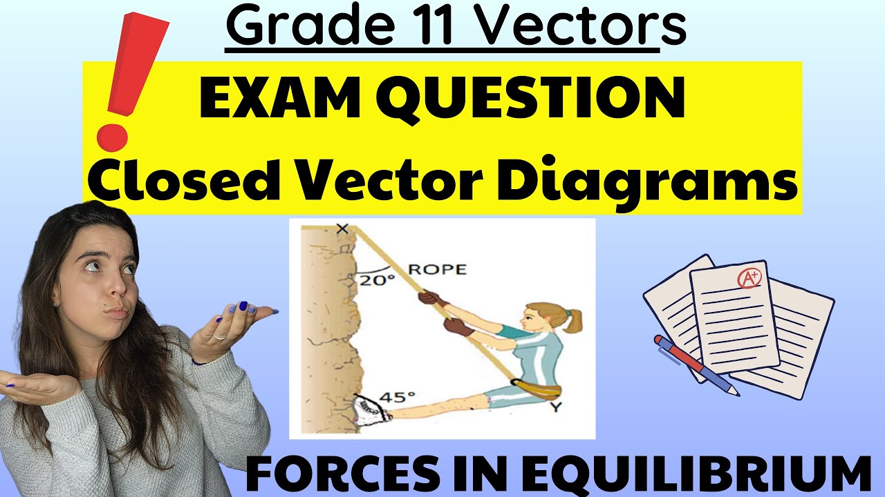 Gr 11 Equilibrium closed vector diagram EXAM QUESTION