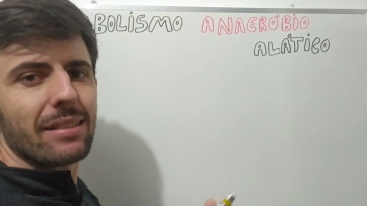 METABOLISMO ANAERÓBIO ALÁTICO