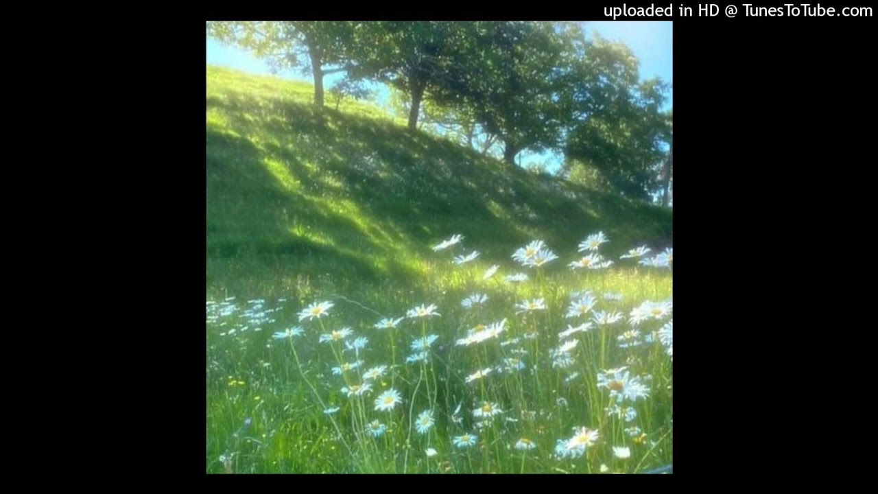 [free] Iayze x no auto type beat - 