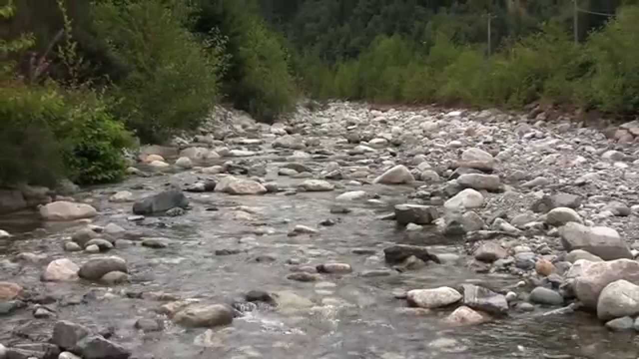 Britannia Creek: back from the brink