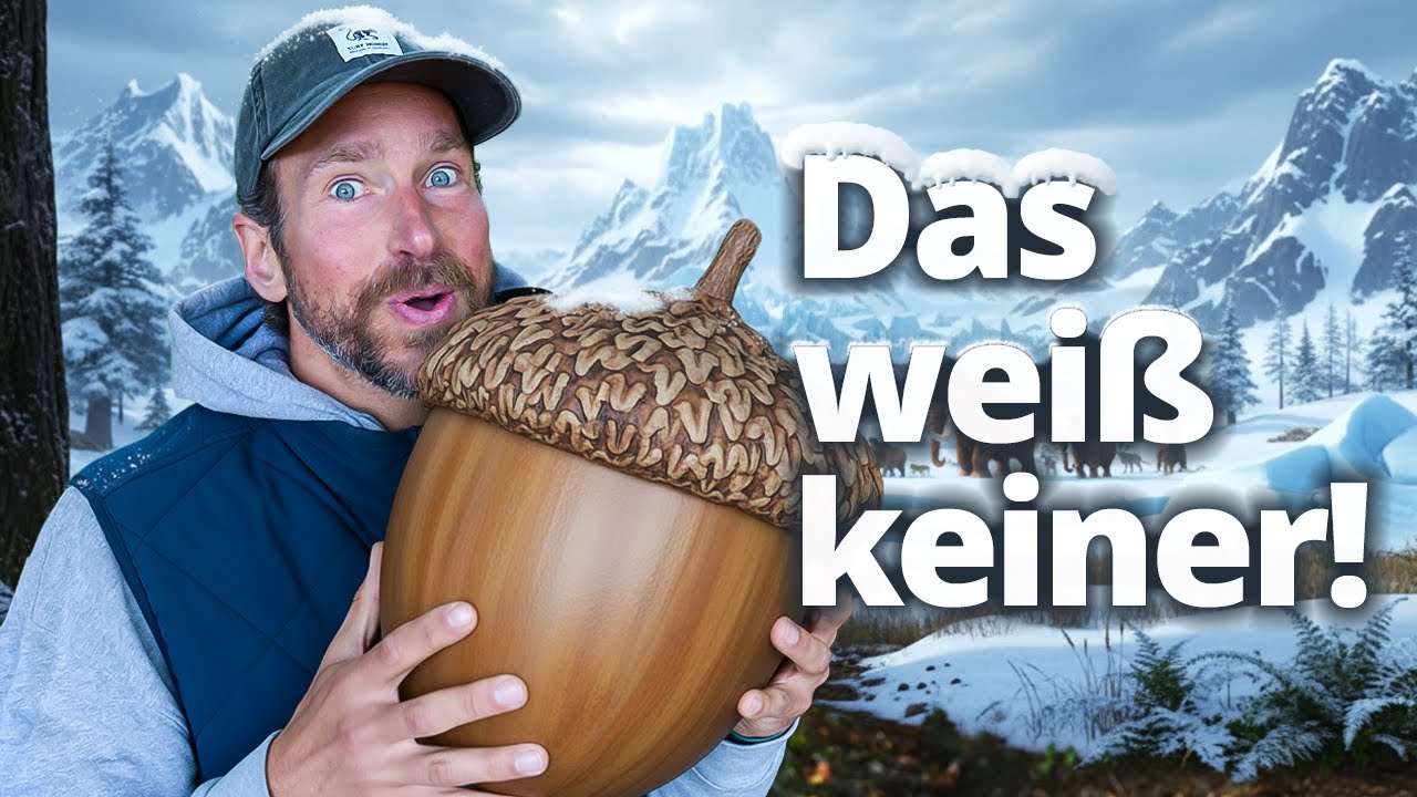 Eicheln: gesünder als Oliven und Avocado zusammen