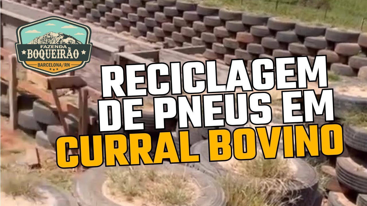 Reclicagem de pneus em curral bovino