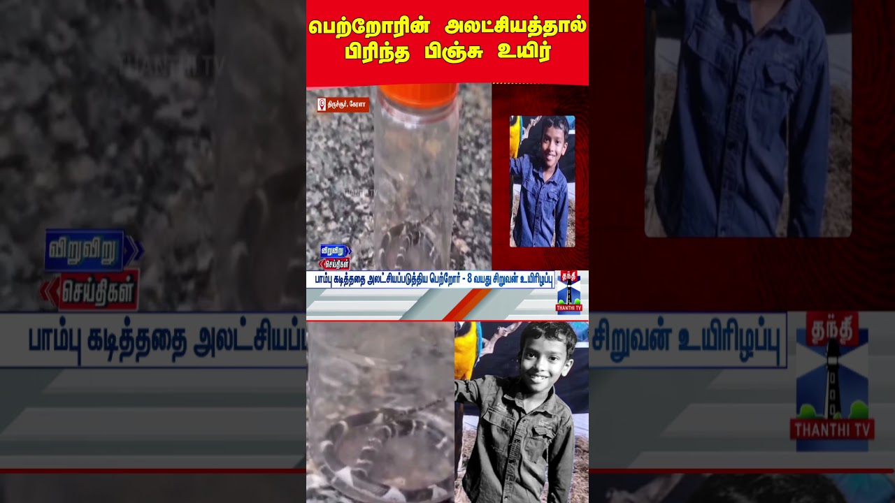 kerala || snakebite || thanthitv