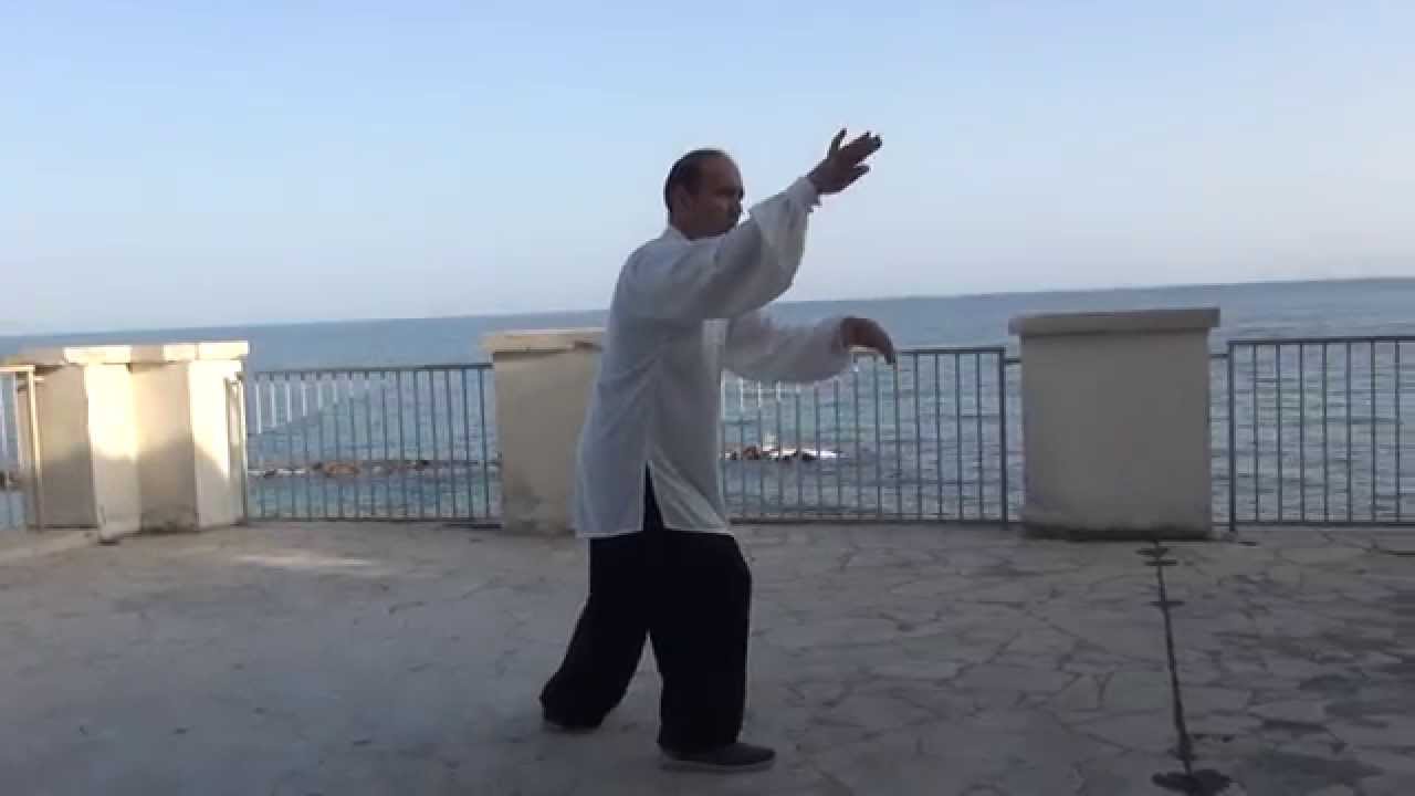 CORSI DI TAI CHI E QI GONG A ROMA - FORMA 8 SECONDA VISIONE POSTERIORE