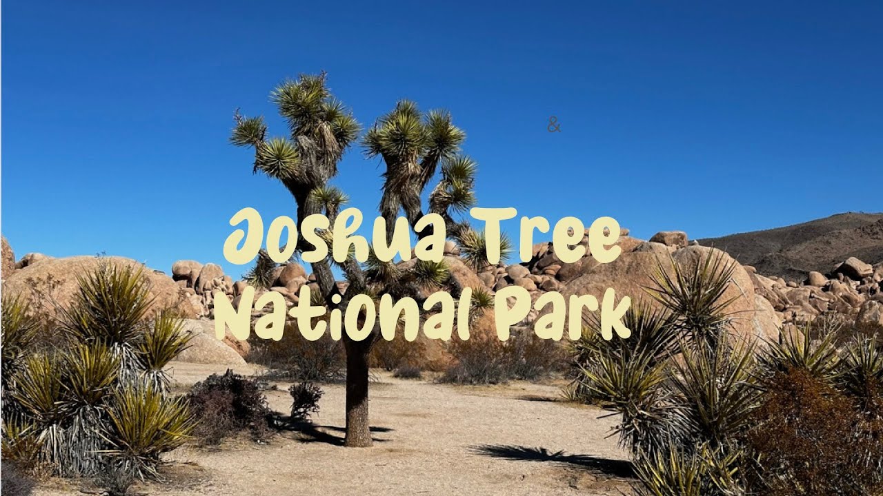 Joshua Tree National Park