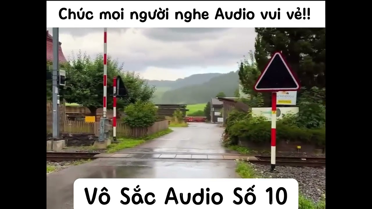 Vô Sắc Audio Số 10 - Tình Yêu Kết Thúc Bằng Thù Hận - Truyện Full #truyenngontinh #truyenaudio