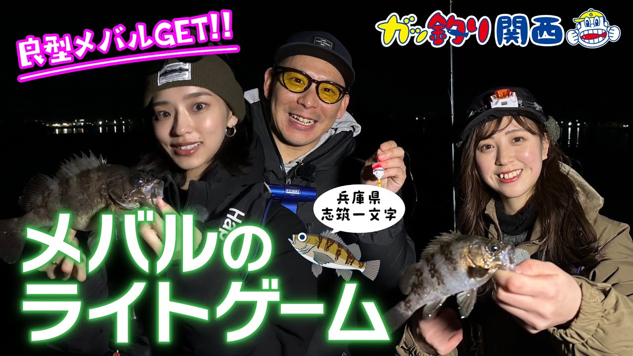 春を感じる淡路島のメバル【ガッ釣り関西242】