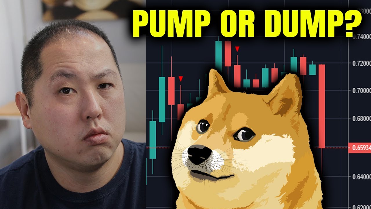 IS DOGECOIN GOING TO PUMP OR DUMP??