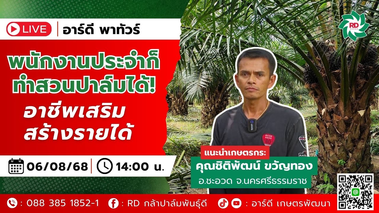 พนักงานประจำทำสวนปาล์ม อาชีพเสริมสร้างรายได้