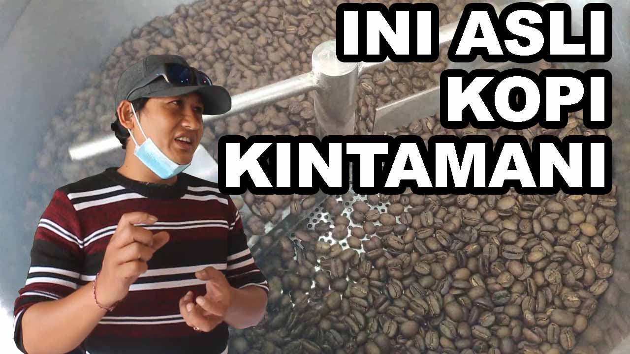 TERNYATA DISINI KOPI ASLI KINTAMANI DIPRODUKSI, DK COFFEE (TVNe Bali)