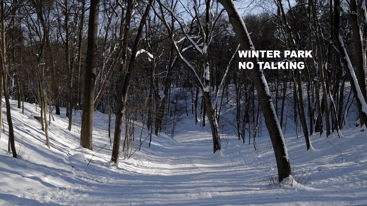 Quiet Winter Park Walkway | Sunlit Snow Ambience (No Talking)