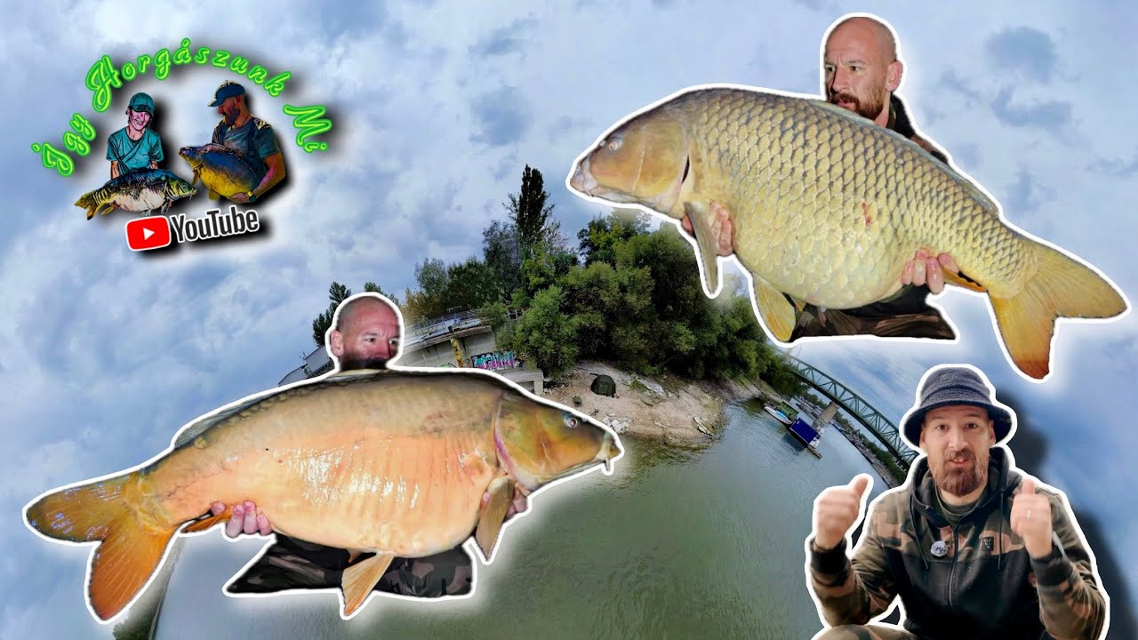 Majdnem 2x 20 kiló felett...🎣🐟 - Újpesti öböl