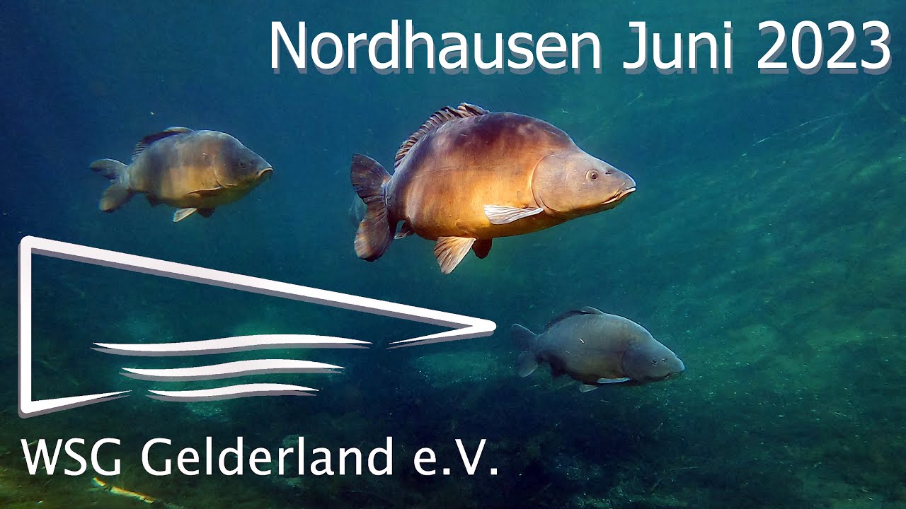 Tauchen Nordhausen Juni 2023 -Sundhäuser See-