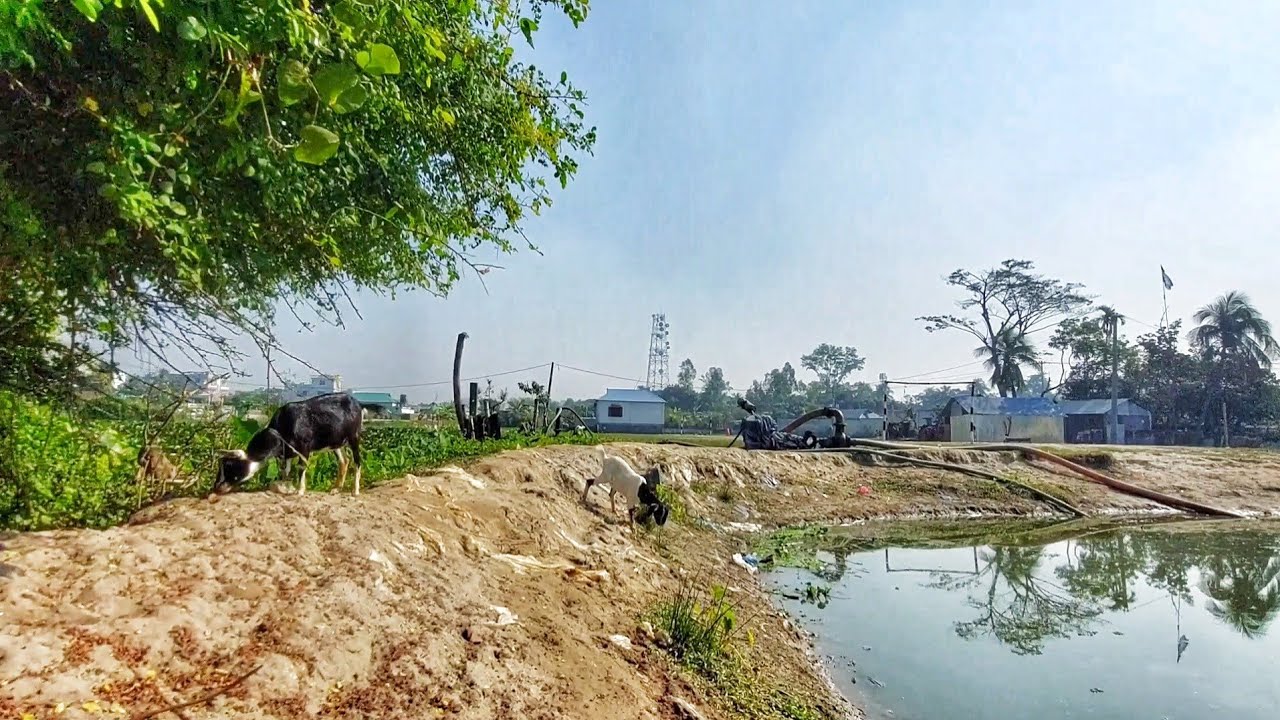 নরসিংদীর সাটিরপাড়া ভাগদী চৌয়ালা এলাকার মধ্যবর্তী একাংশ | এখানে জমি ক্রয় বিক্রয় থেকে জনপদ কেমন 🤔