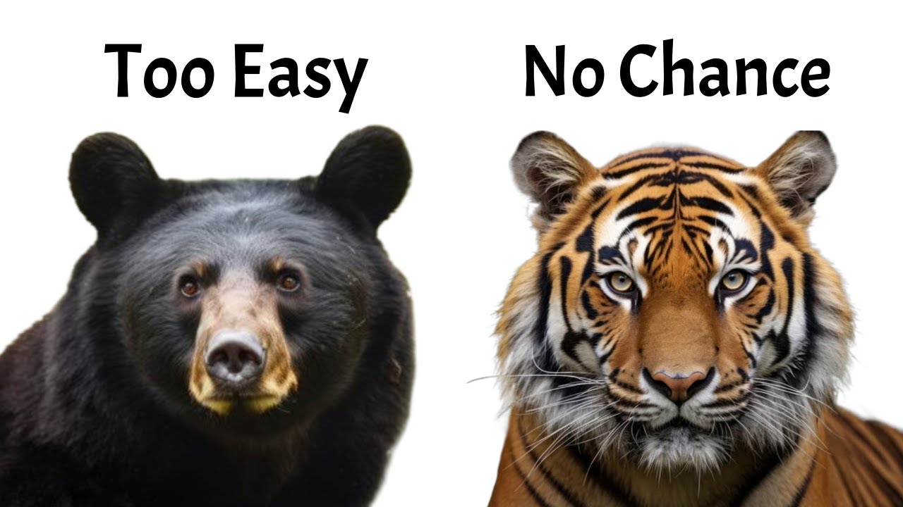 Ranking Which Animals A HUMAN Could Beat In A FIGHT