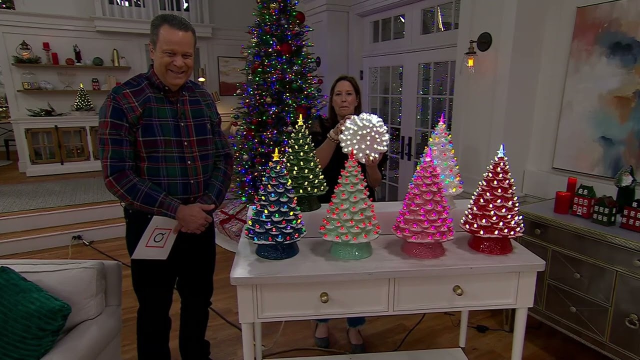 Mr. Christmas 18