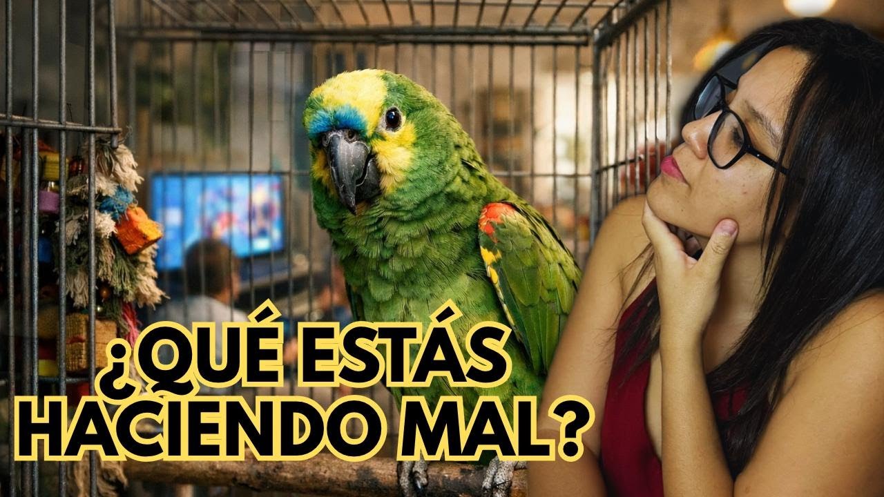 ¿Por qué tu loro te pica y no confía en ti?