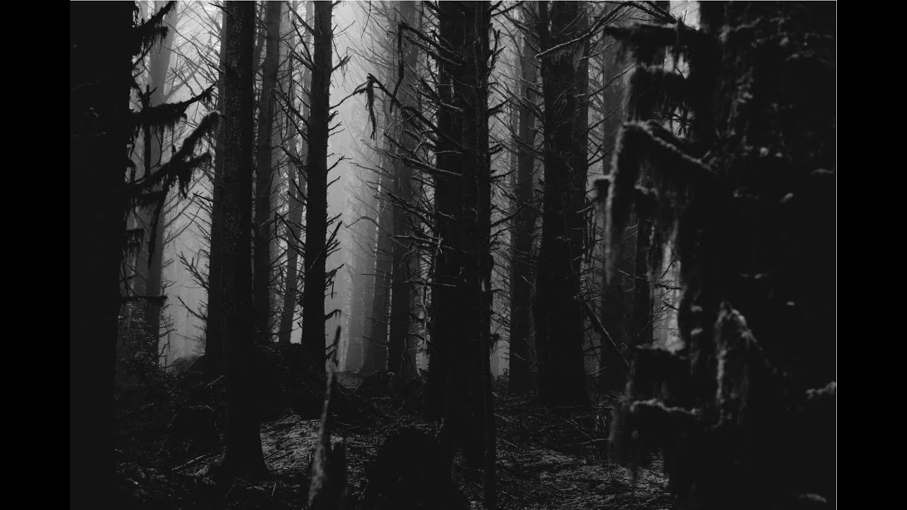 spaceradio // pacemaker