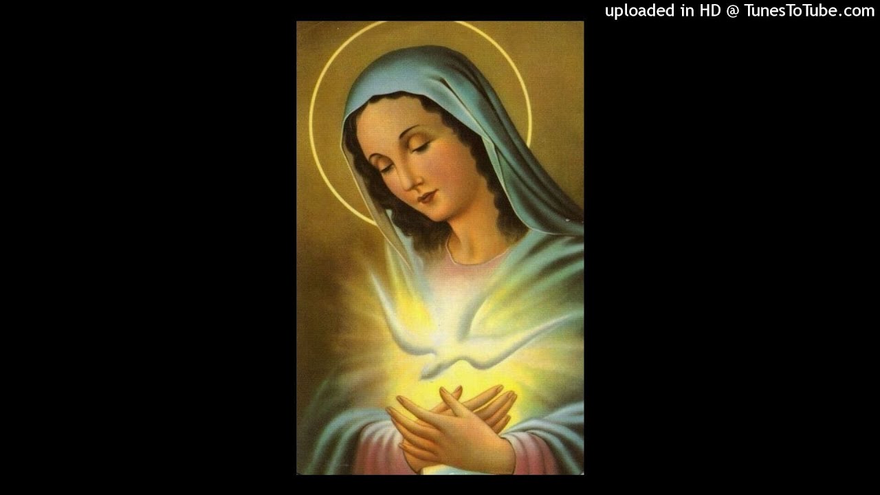 21 - Il Volo, Plácido Domingo - Ave Maria, Mater Misericordiae - Live