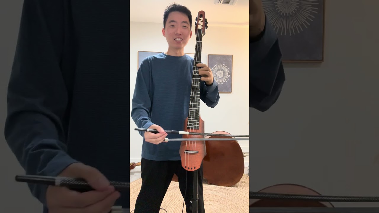 Comparing 4 Instruments: Fretless/Fretted Electric Cellos, Acoustic Cello, and Double Bass