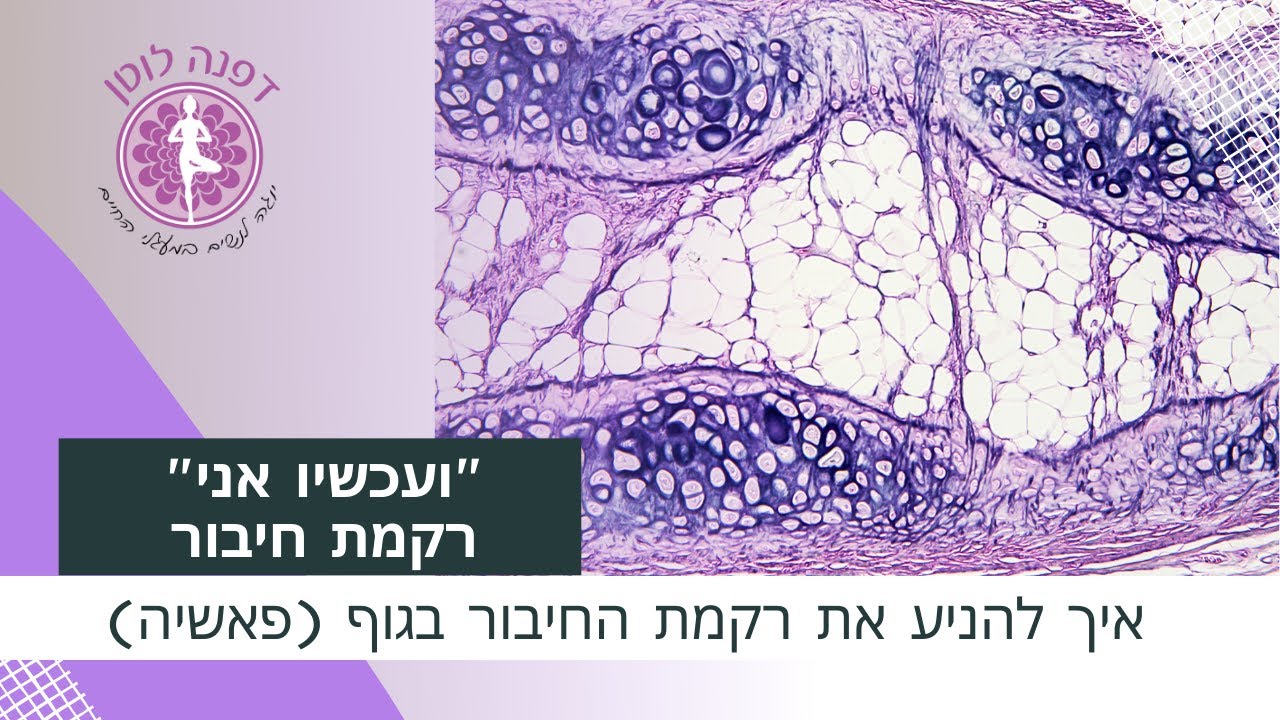 איך להניע את רקמת החיבור (פאשיה)