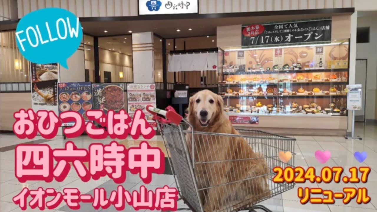 おひつごはん四六時中・おひつごはん膳魚（小山市）