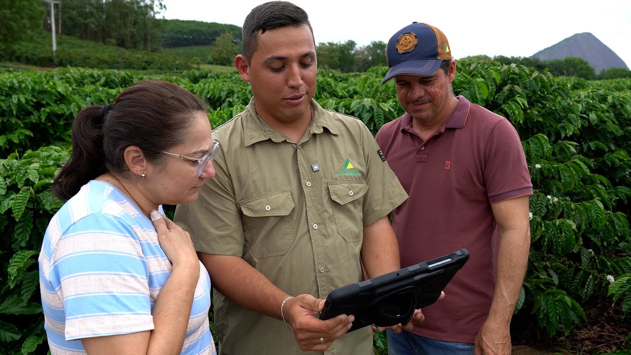 Cooabriel reforça apoio técnico para garantir alta produtividade do café