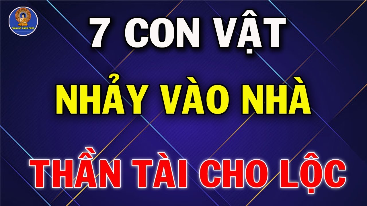 7 Con Vật Này Đột Nhiên Vào Nhà Chứng Tỏ Bạn Sắp Giàu To, Thần Tài Cho Lộc, Đừng Dại Xua Đuổi