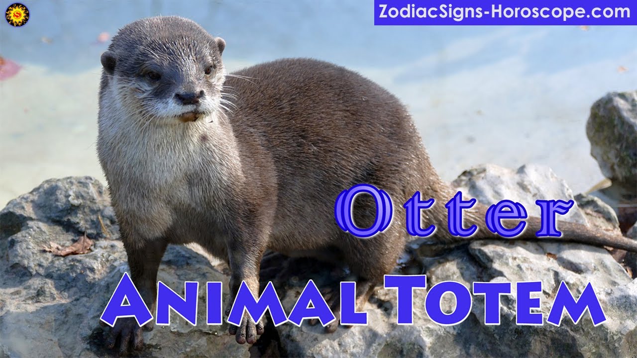 Otter Animal Totem - Otter Spirit Animal Meaning, Symbolism, Dream of the Otter Totem