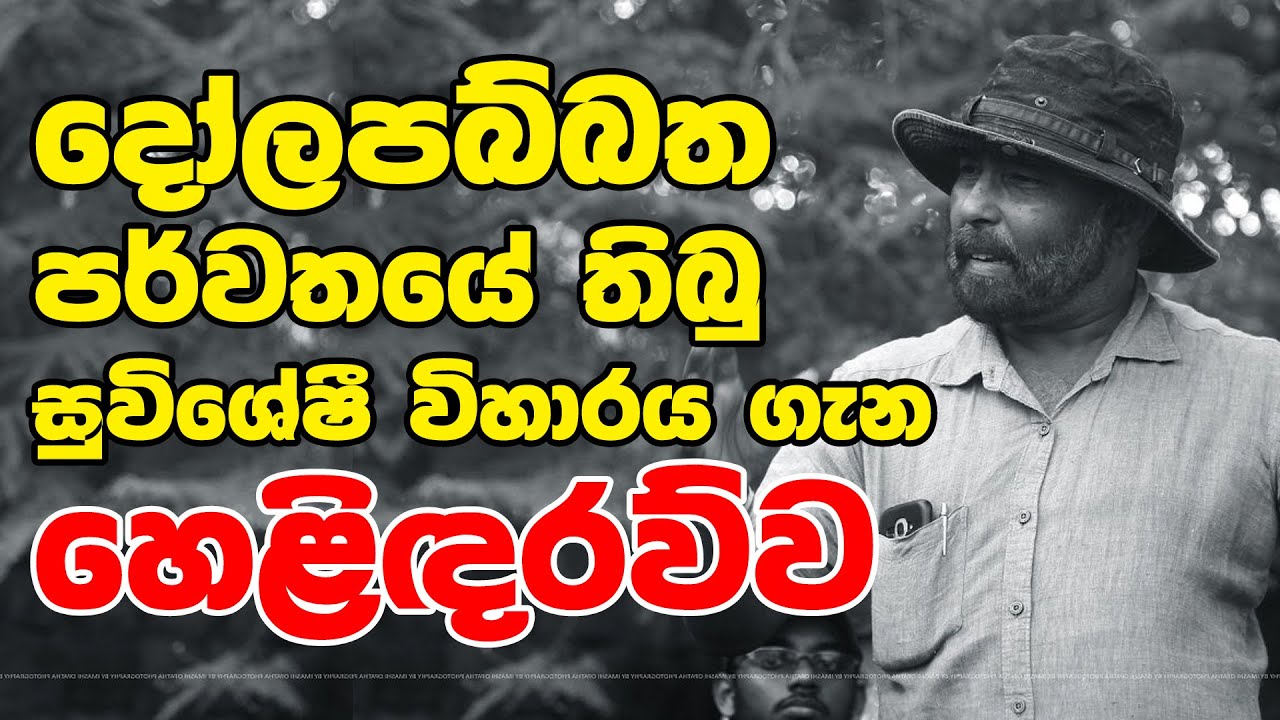 දෝලපබ්බත පර්වතයේ තිබු සුවිශේෂී විහාරය ගැන හෙළිඳරව්ව | Neth Fm Unlimited History  Episode 13