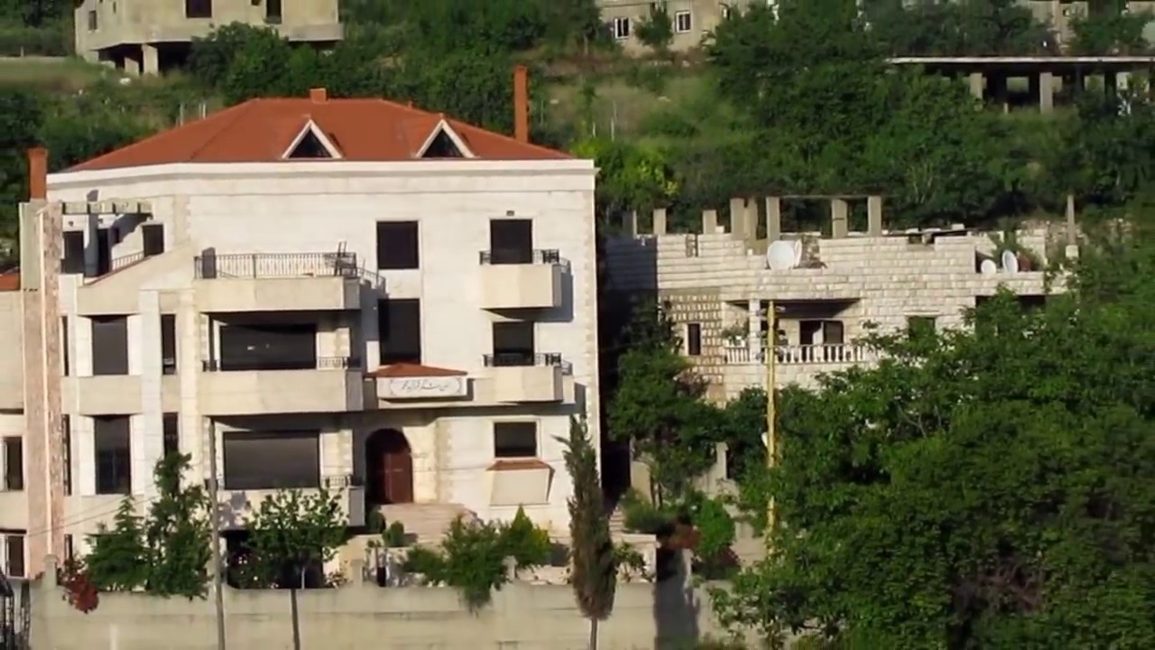 مشمش جنتنا !