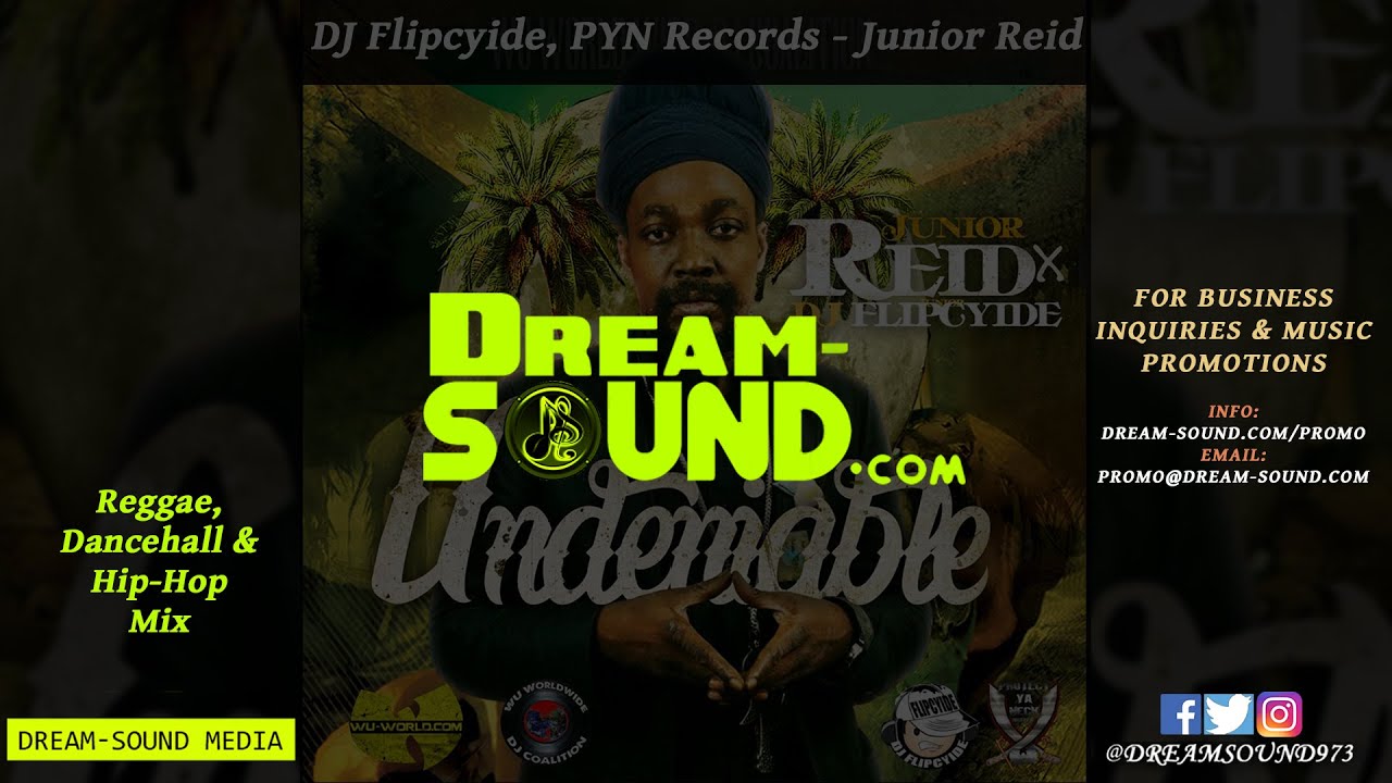 Junior Reid - Undeniable (Reggae, Dancehall & Hip-Hop Mixtape 2014 By DJ Flipcyide)