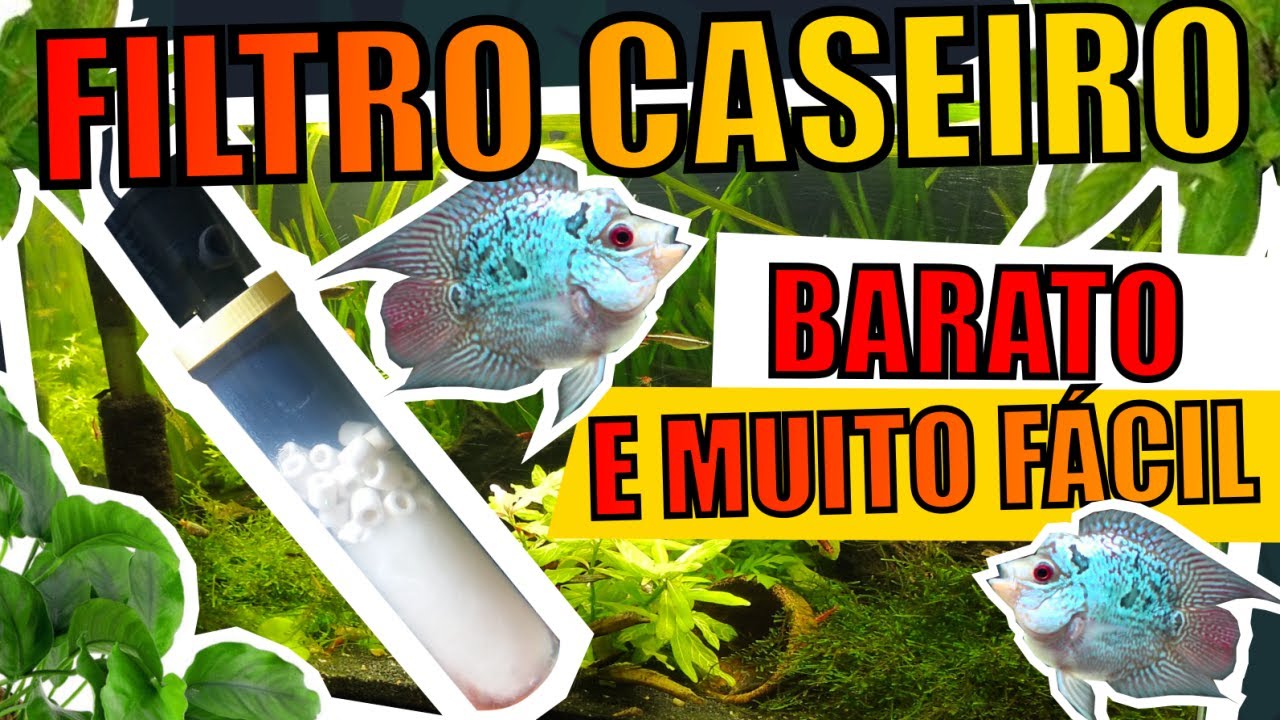 🔴FIZ UM FILTRO CASEIRO INTERNO PARA AQUÁRIOS ( BARATO E FÁCIL ) |Mr. Betta|