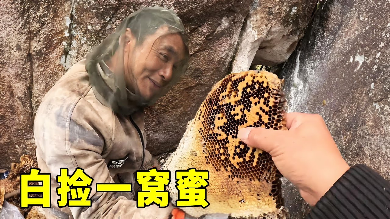 今天走狗屎運了，哪個兄弟打了個大工程卻留下了蜜，真的怪不好意思的【莆農阿敏】