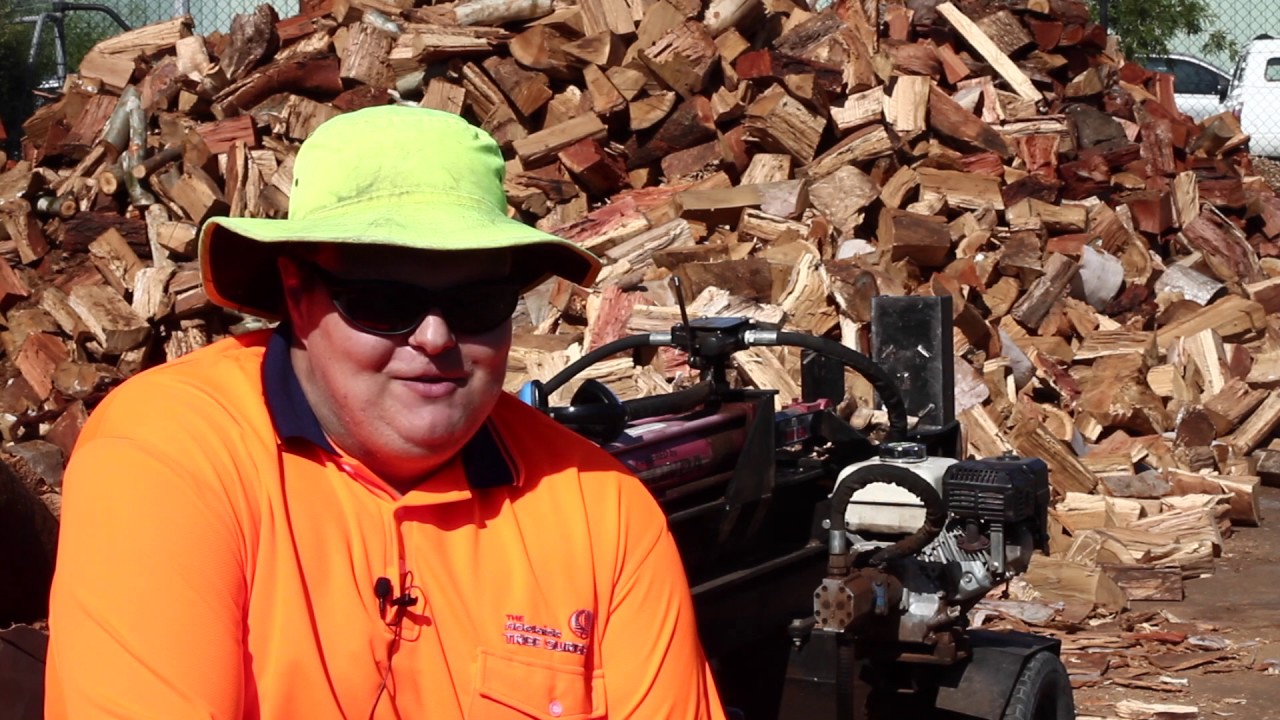 Adelaide Tree Surgery - David's Story