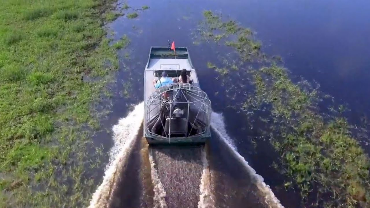 Florida Travel: Experience Wild Florida