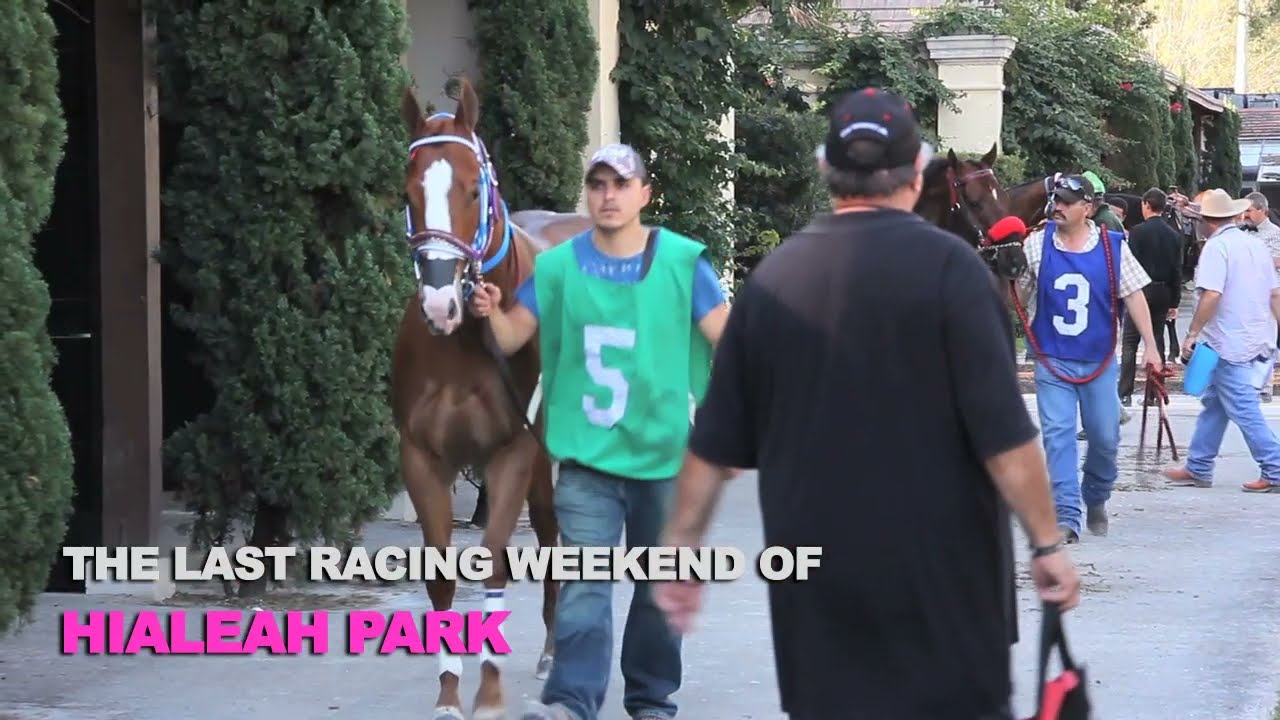 HIALEAH PARK TOUR OF FINAL RACING YEAR