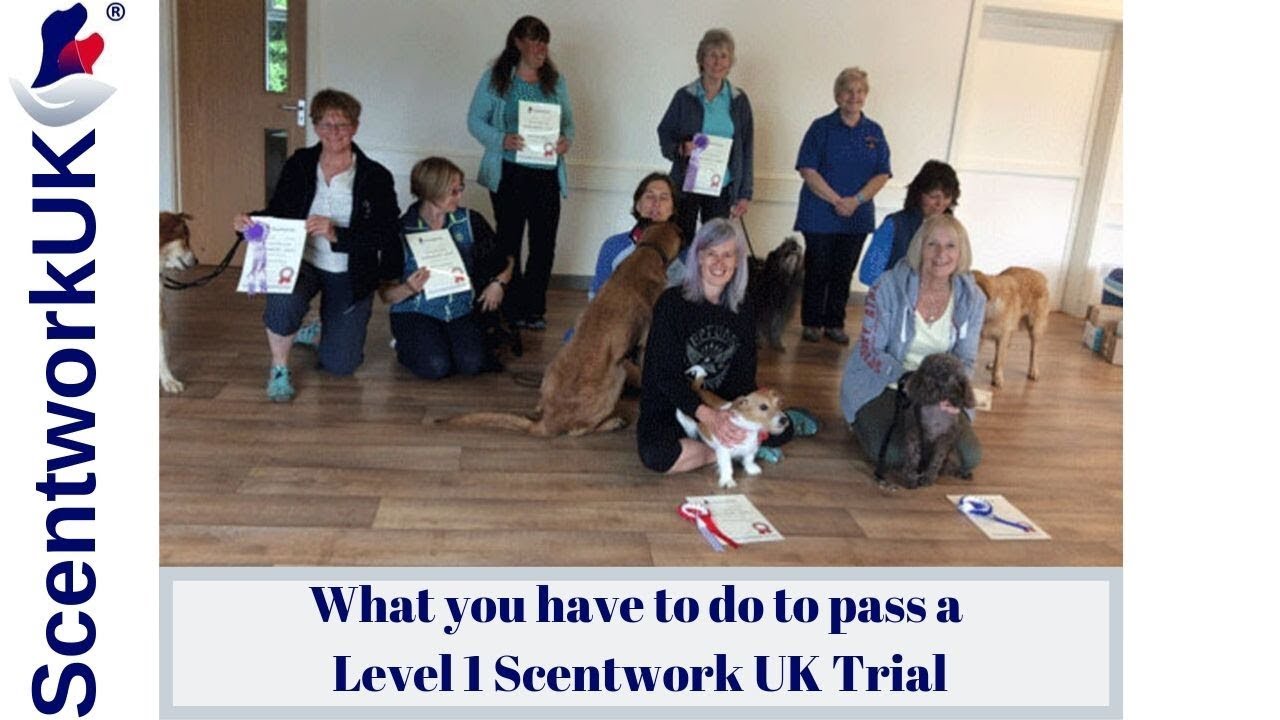 Scentwork L1 Trial