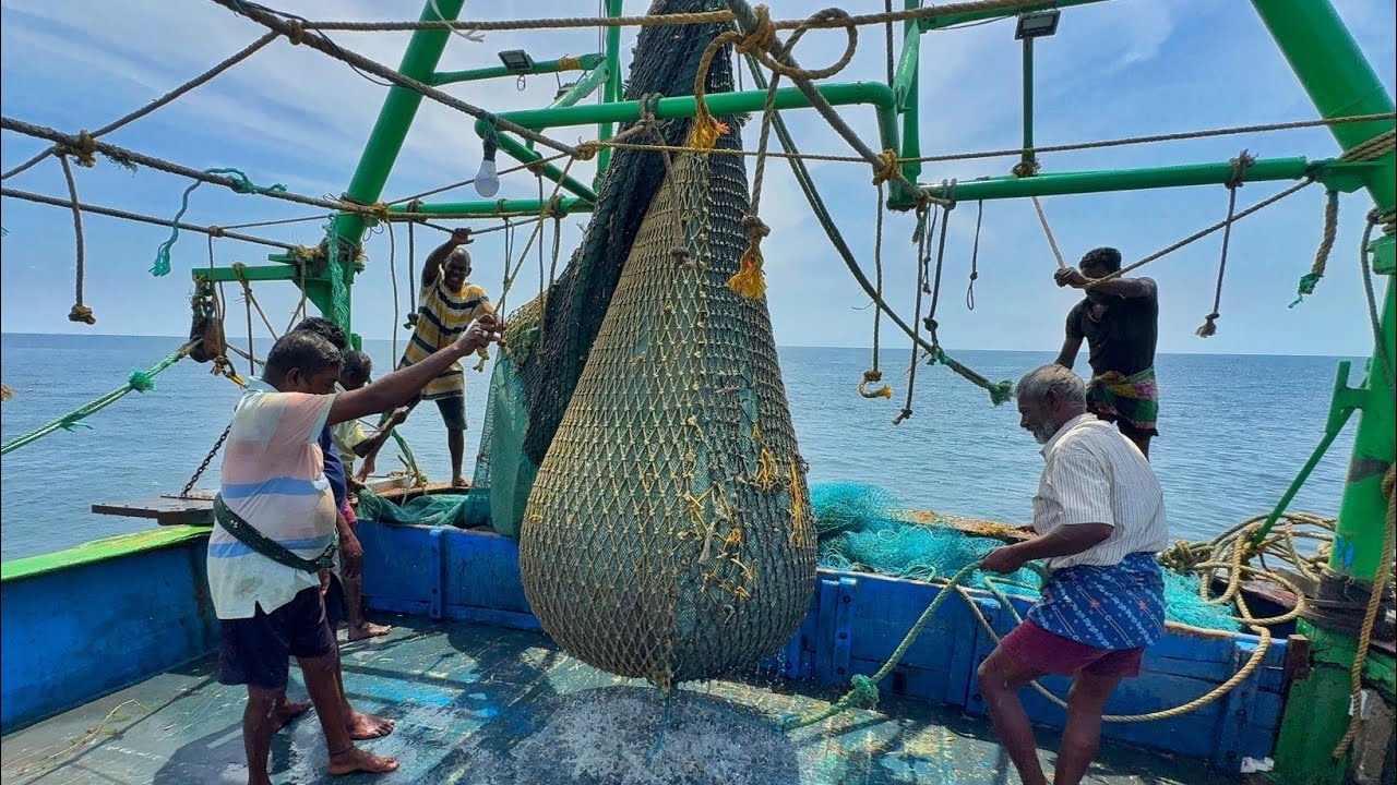 WOW 💢 TRAWLER NET FISHING❗FULL VIDEO CAPTURE 🤩 INDIAN FISHING ADVENTURE 