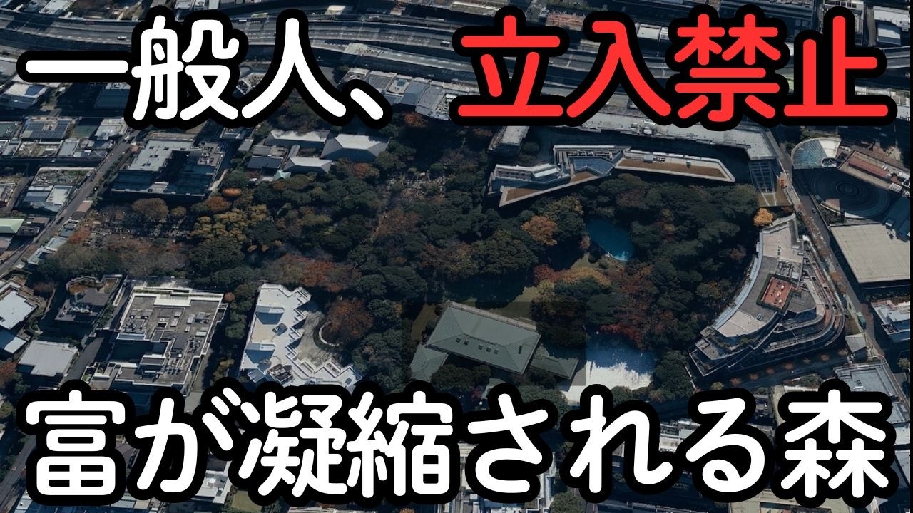 港区8000坪の森に建つ「城」...南麻布のラスボスが凄すぎる。警察が守る「裏ボス」の正体