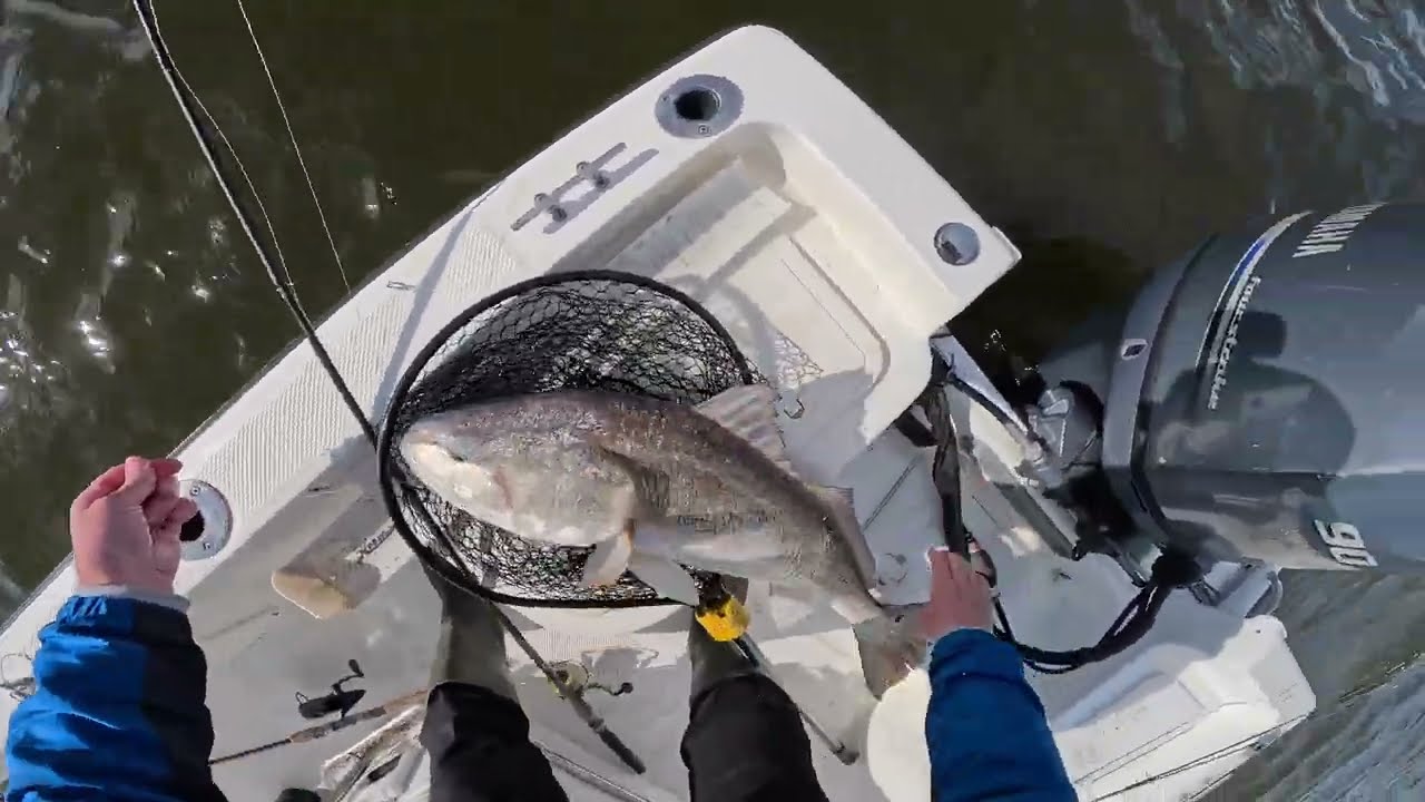 Winter Redfish, Vermilion Bay, Cypremort Point Louisiana