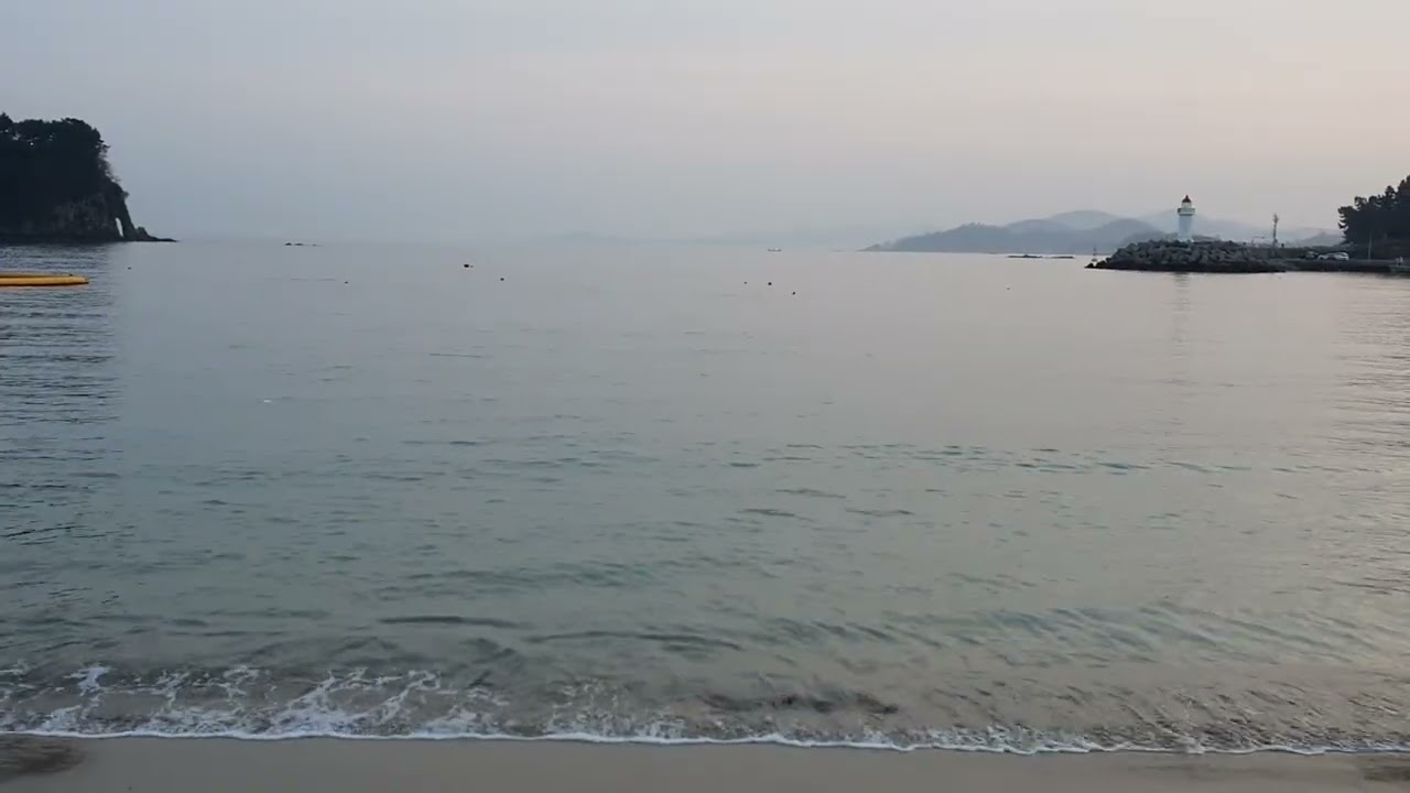 2026년 2월 15일